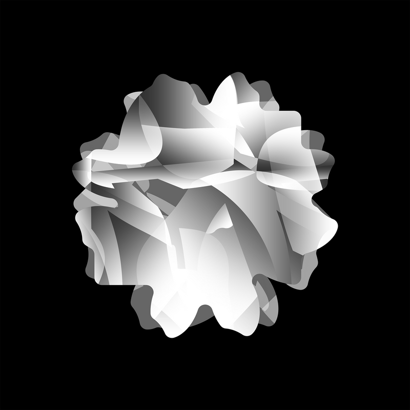 vision 1.1
