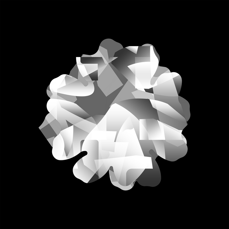 vision 1.2