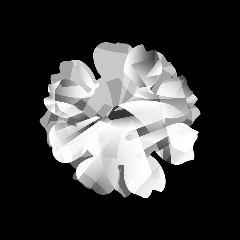 vision 1.41