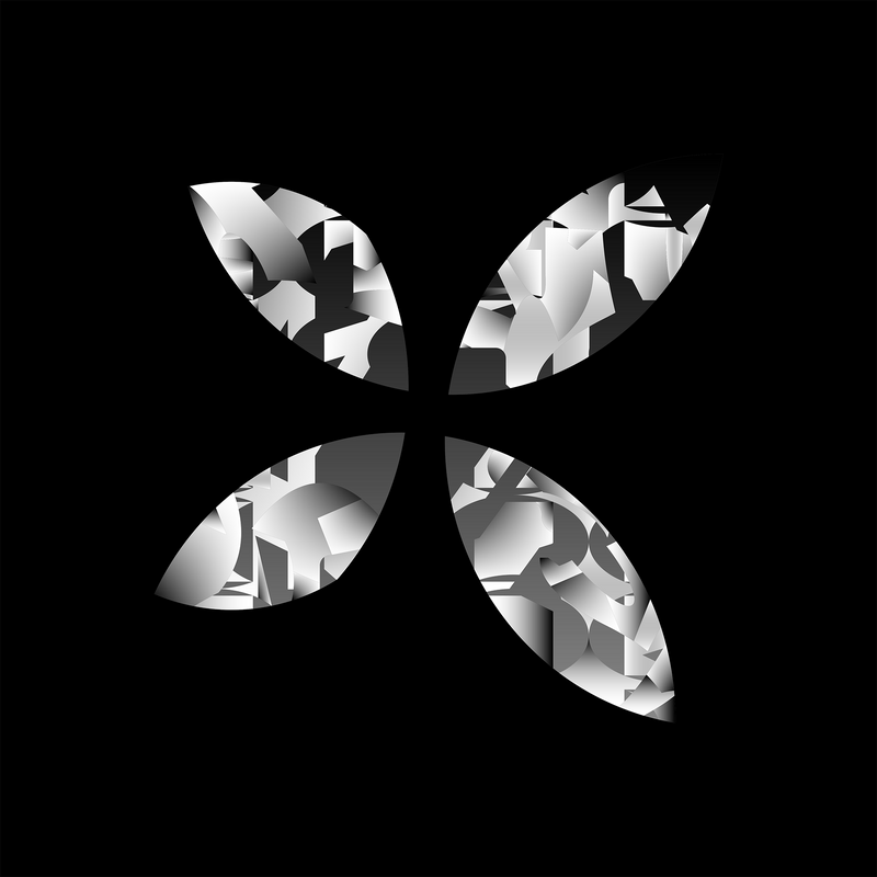 vision 13.10