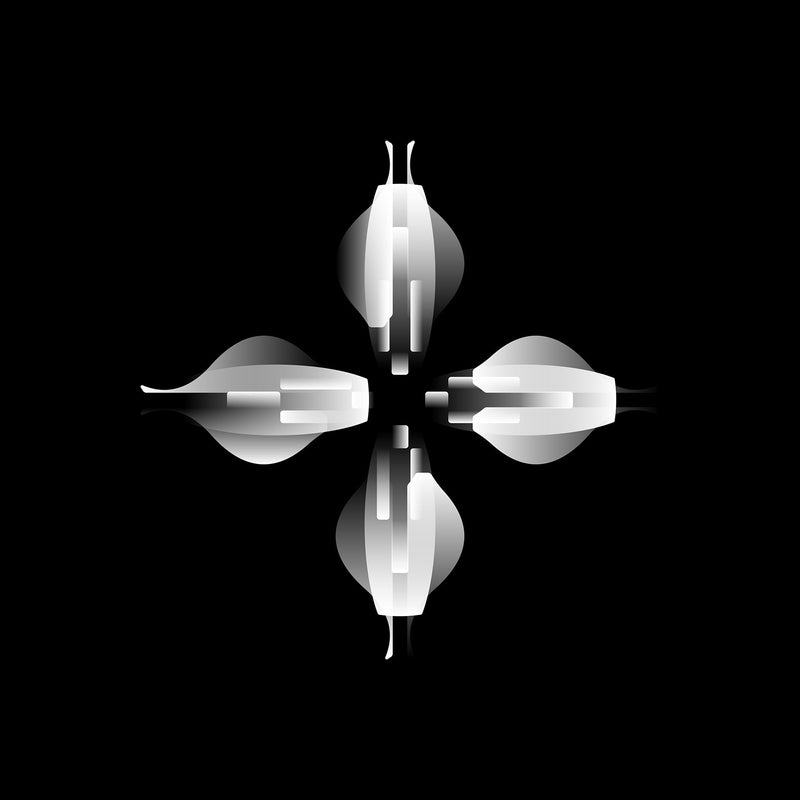 vision 19.53