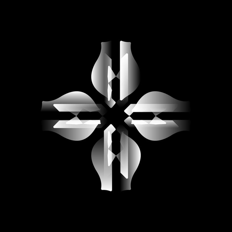 vision 19.55