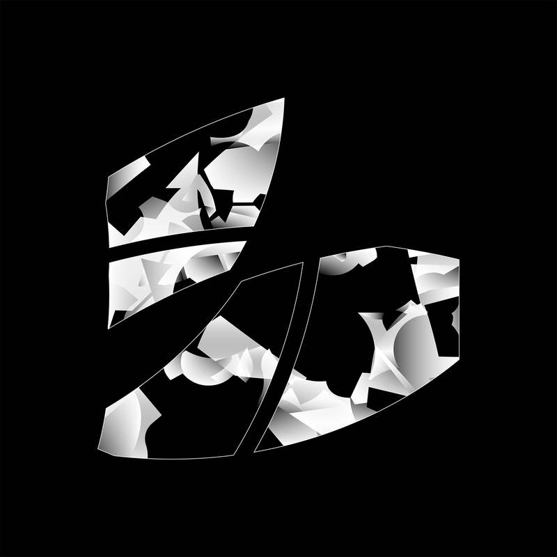 vision 2.5